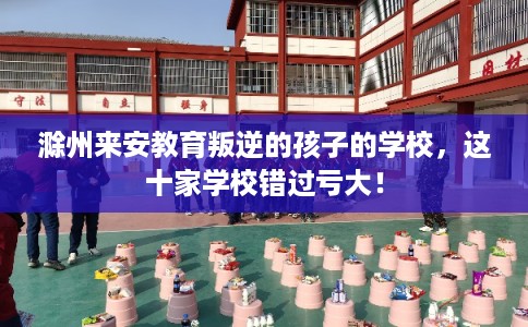 滁州来安教育叛逆的孩子的学校,这十家学校错过亏大! 滁州来安教育叛逆的孩子的学校,这十家学校错过亏大!