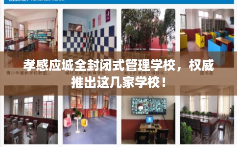 孝感应城全封闭式管理学校，权威推出这几家学校！