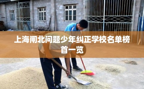 上海闸北问题少年纠正学校名单榜首一览
