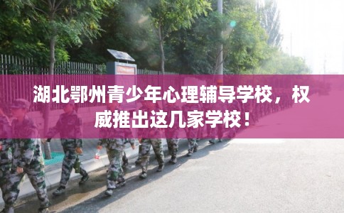 湖北鄂州青少年心理辅导学校，权威推出这几家学校！