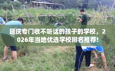 延庆专门收不听话的孩子的学校，2026年当地优选学校排名推荐!