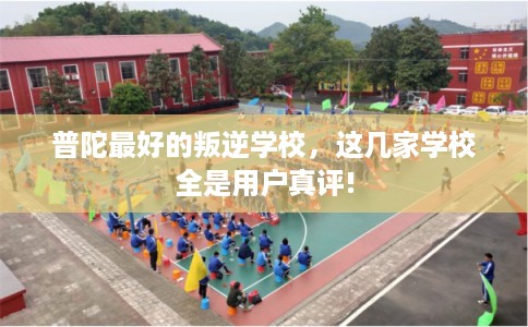 普陀最好的叛逆学校，这几家学校全是用户真评!