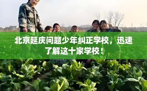北京延庆问题少年纠正学校,迅速了解这十家学校! 北京延庆问题少年纠正学校,迅速了解这十家学校!