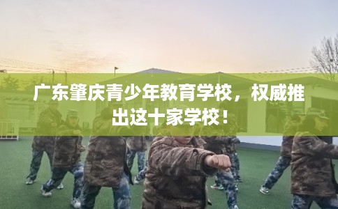 广东肇庆青少年教育学校，权威推出这十家学校！