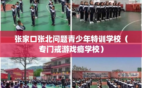 张家口张北问题青少年特训学校（专门戒游戏瘾学校）