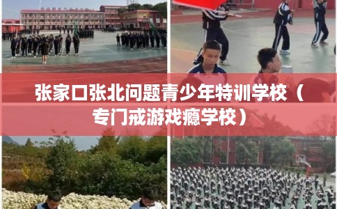 张家口张北问题青少年特训学校（专门戒游戏瘾学校）