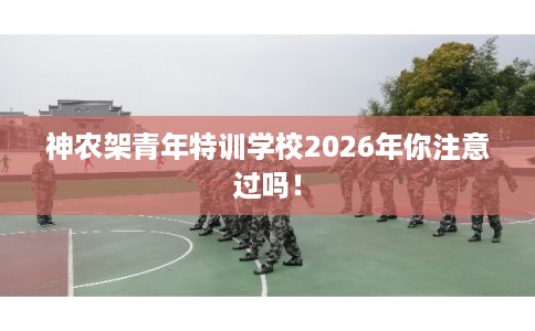 神农架青年特训学校2026年你注意过吗！