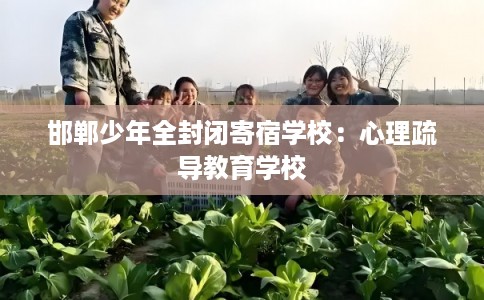 邯郸少年全封闭寄宿学校：心理疏导教育学校