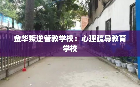 金华叛逆管教学校：心理疏导教育学校