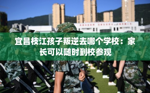 宜昌枝江孩子叛逆去哪个学校：家长可以随时到校参观