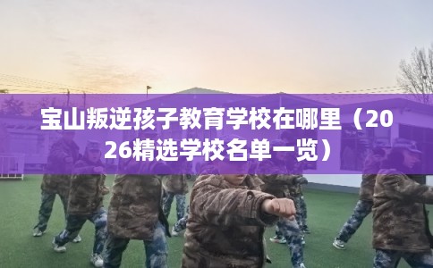 宝山叛逆孩子教育学校在哪里（2026精选学校名单一览）