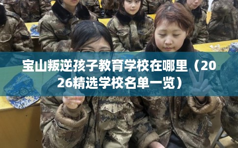 宝山叛逆孩子教育学校在哪里（2026精选学校名单一览）