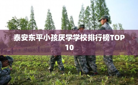 泰安东平小孩厌学学校排行榜TOP10
