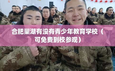 合肥巢湖有没有青少年教育学校（可免费到校参观）