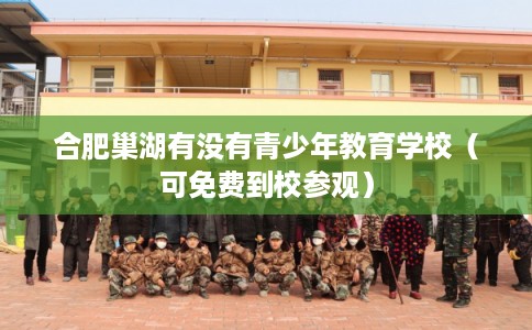 合肥巢湖有没有青少年教育学校（可免费到校参观）