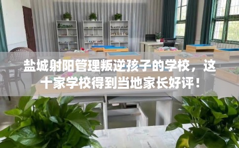 盐城射阳管理叛逆孩子的学校，这十家学校得到当地家长好评！
