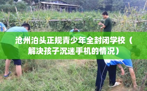 沧州泊头正规青少年全封闭学校（解决孩子沉迷手机的情况）