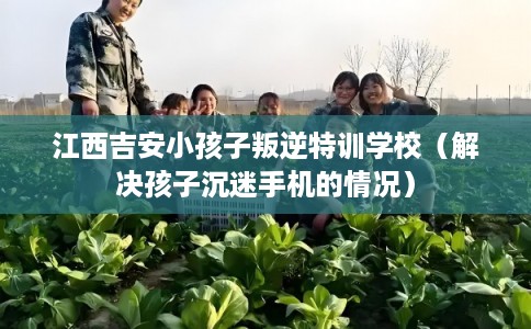 江西吉安小孩子叛逆特训学校（解决孩子沉迷手机的情况）