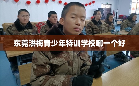 东莞洪梅青少年特训学校哪一个好