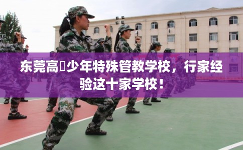 东莞高埗少年特殊管教学校，行家经验这十家学校！