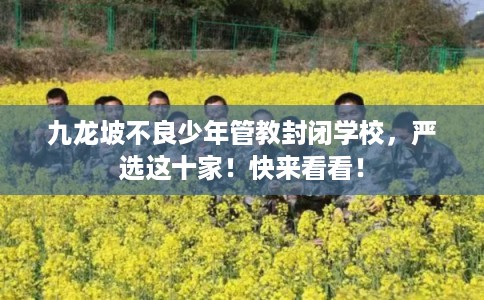 九龙坡不良少年管教封闭学校,严选这十家!快来看看! 九龙坡不良少年管教封闭学校,严选这十家!快来看看!