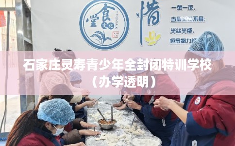 石家庄灵寿青少年全封闭特训学校（办学透明）