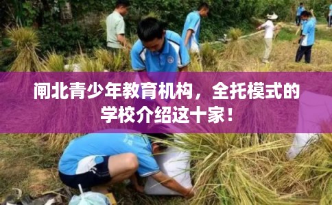 闸北青少年教育机构，全托模式的学校介绍这十家！