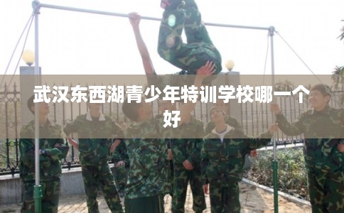 武汉东西湖青少年特训学校哪一个好