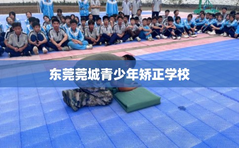 东莞莞城青少年矫正学校