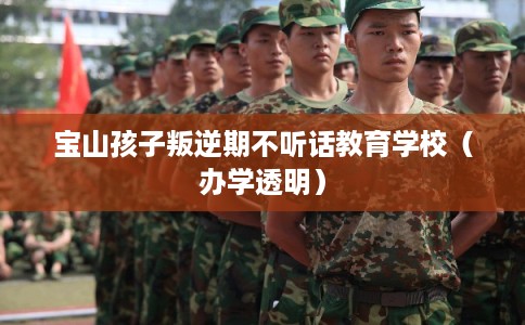 宝山孩子叛逆期不听话教育学校(办学透明) 宝山孩子叛逆期不听话教育学校(办学透明)