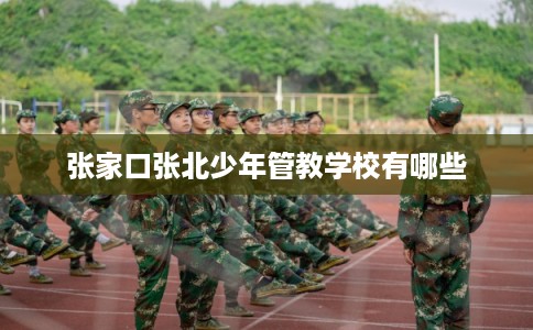 张家口张北少年管教学校有哪些
