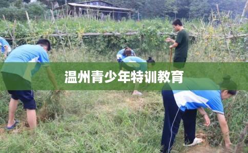 温州青少年特训教育