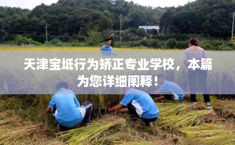 天津宝坻行为矫正专业学校,本篇为您详细阐释! 天津宝坻行为矫正专业学校,本篇为您详细阐释!