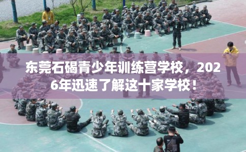 东莞石碣青少年训练营学校，2026年迅速了解这十家学校！