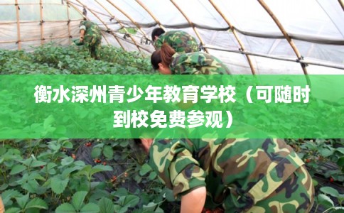 衡水深州青少年教育学校(可随时到校免费参观) 衡水深州青少年教育学校(可随时到校免费参观)
