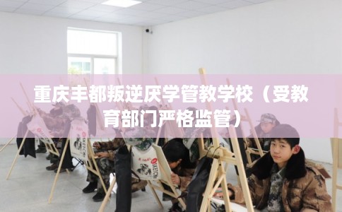 重庆丰都叛逆厌学管教学校（受教育部门严格监管）