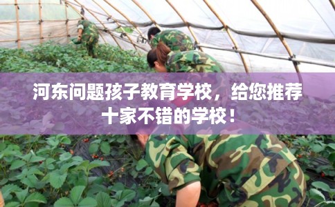 河东问题孩子教育学校，给您推荐十家不错的学校！