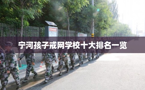 宁河孩子戒网学校十大排名一览 宁河孩子戒网学校十大排名一览