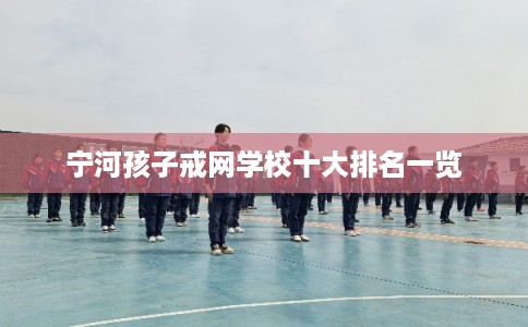 宁河孩子戒网学校十大排名一览 宁河孩子戒网学校十大排名一览