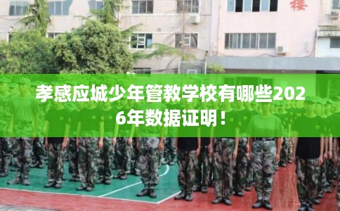 孝感应城少年管教学校有哪些2026年数据证明！
