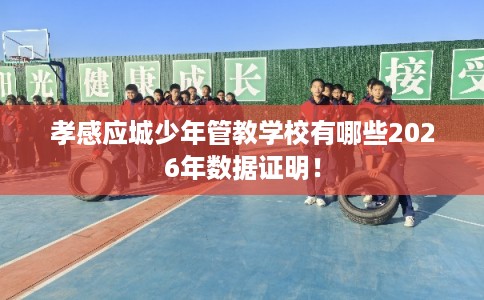 孝感应城少年管教学校有哪些2026年数据证明！