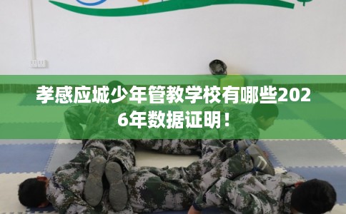 孝感应城少年管教学校有哪些2026年数据证明！