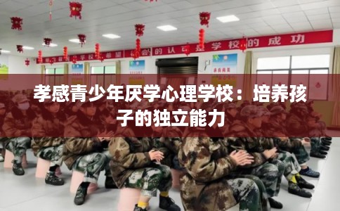 孝感青少年厌学心理学校：培养孩子的独立能力
