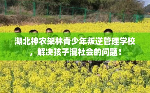 湖北神农架林青少年叛逆管理学校,解决孩子混社会的问题! 湖北神农架林青少年叛逆管理学校,解决孩子混社会的问题!