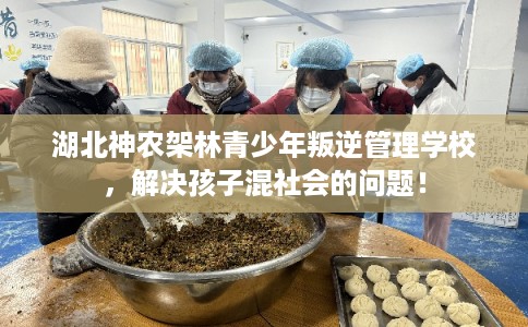 湖北神农架林青少年叛逆管理学校，解决孩子混社会的问题！
