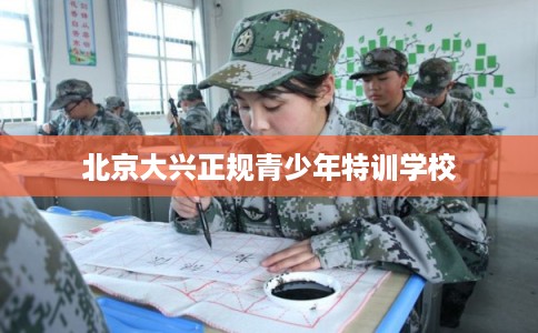 北京大兴正规青少年特训学校 北京大兴正规青少年特训学校