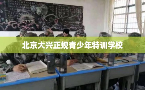 北京大兴正规青少年特训学校 北京大兴正规青少年特训学校