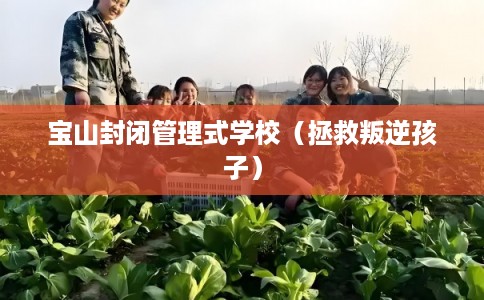 宝山封闭管理式学校(拯救叛逆孩子) 宝山封闭管理式学校(拯救叛逆孩子)