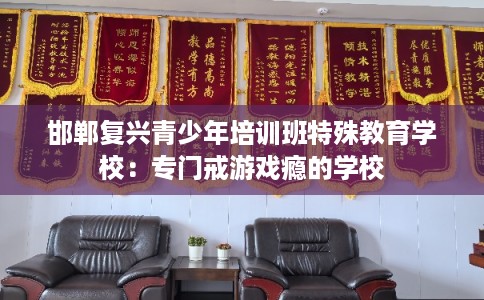 邯郸复兴青少年培训班特殊教育学校：专门戒游戏瘾的学校