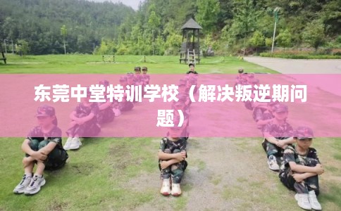东莞中堂特训学校（解决叛逆期问题）
